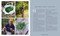 The Modern Forager's Cookbook (Recipes from the Farm, Forest, Field, and Stream) by Rob Connoley, Jay Hemphill, Andrea Feucht, 9781510776470