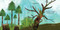 One Day This Tree Will Fall by Leslie Barnard Booth, Stephanie Fizer Coleman, 9781534496965