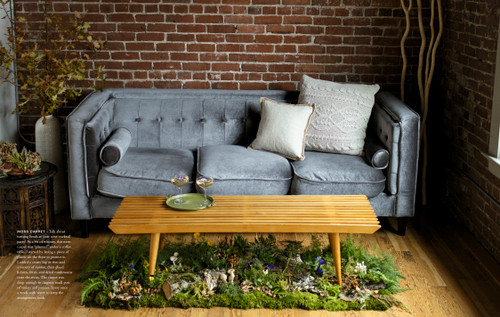 Wonder of the Woodlands (The Art of Seeing and Creating with Nature) by Françoise Weeks, 9780593578384