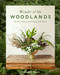 Wonder of the Woodlands (The Art of Seeing and Creating with Nature) by Françoise Weeks, 9780593578384