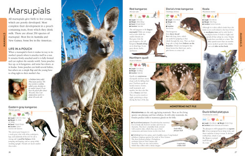 Animals A Visual Encyclopedia by DK, 9780744092875