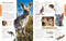 Animals A Visual Encyclopedia by DK, 9780744092875