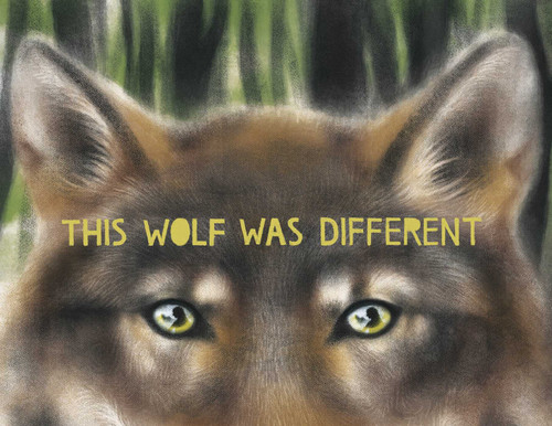 This Wolf Was Different by Katie Slivensky, Hannah Salyer, 9781665900959