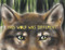 This Wolf Was Different by Katie Slivensky, Hannah Salyer, 9781665900959