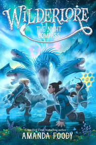 The Night Compass by Amanda Foody, 9781665910781