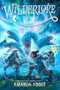 The Night Compass by Amanda Foody, 9781665910781