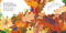 Bilingual Pop-Up Peekaboo! Forest - El bosque by DK, 9780744094039