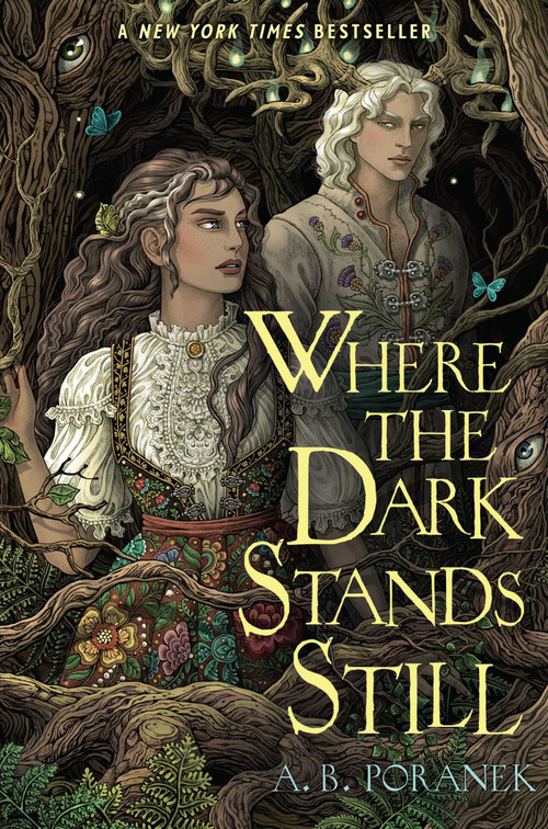 Where the Dark Stands Still by A. B. Poranek, 9781665936477