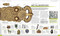 History Year by Year (The Ultimate Visual Guide to the Events that Shaped the World) by DK, 9780744091991