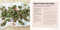 Vegan Snacks (Over 60 recipes for tasty plant-based bites) by Ryland Peters & Small, 9781788795791