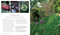 Mindful Garden (Serene spaces for outdoor living) by Stephanie Donaldson, 9781788795951