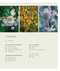 Mindful Garden (Serene spaces for outdoor living) by Stephanie Donaldson, 9781788795951