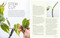 The Propagation Handbook (A guide to propagating houseplants) by Hilton Carter, 9781800653108