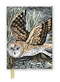 Angela Harding: Marsh Owl (Foiled Journal) by Flame Tree Studio, 9781804177396