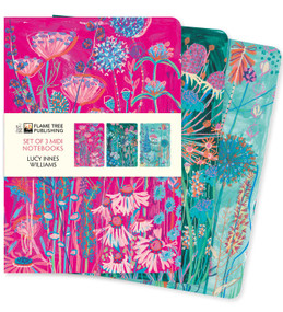Lucy Innes Williams Set of 3 Midi Notebooks by Flame Tree Studio, 9781804177679