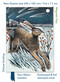 Angela Harding: Shooting Stars (Foiled Quarto Journal) by Flame Tree Studio, 9781804177693