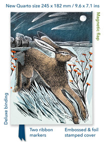 Angela Harding: Shooting Stars (Foiled Quarto Journal) by Flame Tree Studio, 9781804177693
