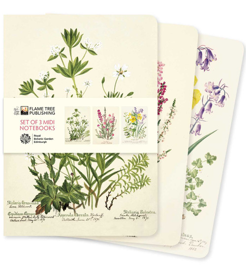Royal Botanic Garden Edinburgh Set of 3 Midi Notebooks by Flame Tree Studio, 9781804177778