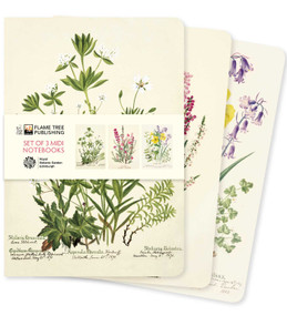 Royal Botanic Garden Edinburgh Set of 3 Midi Notebooks by Flame Tree Studio, 9781804177778