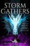 The Storm Gathers by Maelan Holladay, 9781958607022