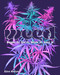 Weed (Smoke It, Eat It, Grow It, Love It) by Ellen Holland, 9780760388389