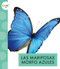 Las mariposas morfo azules (Spanish Edition) by Alissa Thielges, 9781645498308