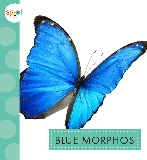 Blue Morphos by Alissa Thielges, 9781681527833
