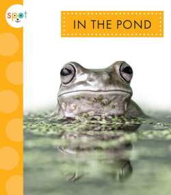 In the Pond - 9781681529356 by Alissa Thielges, 9781681529356
