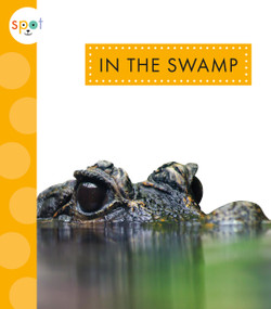 In the Swamp by Alissa Thielges, 9781681529370