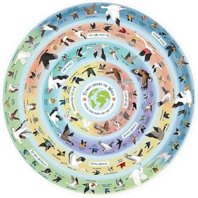 Bird Lover's 1000-Piece Jigsaw Puzzle by Ridley's Games, 9781797229140