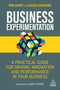 Business Experimentation (A Practical Guide for Driving Innovation and Performance in Your Business) by Rob James, Jules Goddard, 9781398601673