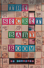 The Secret Baby Room by D.D Johnston, 9781909954182