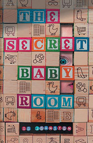 The Secret Baby Room by D.D Johnston, 9781909954182