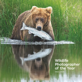 Wildlife Photographer of the Year Desk Diary 2024 by Natural History Museum, 9780565095413