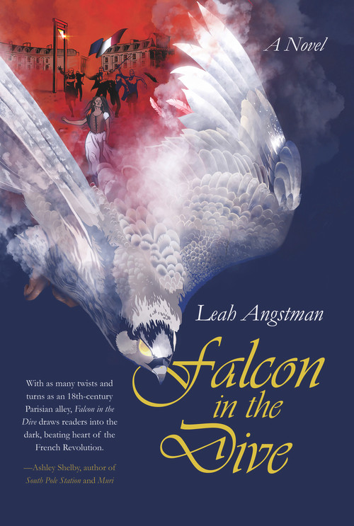 Falcon in the Dive by Leah Angstman, 9781646034338