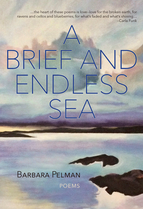 A Brief and Endless Sea by Barbara Pelman, 9781773861258