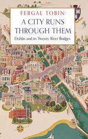 A City Runs Through Them (Dublin and its Twenty River Bridges) by Fergal Tobin, 9781838959357