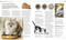 The Cat Encyclopedia (The Definitive Visual Guide) - 9780744092004 by DK