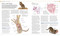The Cat Encyclopedia (The Definitive Visual Guide) - 9780744092004 by DK