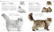 The Cat Encyclopedia (The Definitive Visual Guide) - 9780744092004 by DK