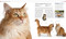 The Cat Encyclopedia (The Definitive Visual Guide) - 9780744092004 by DK