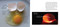 Hatching Chicks in Room 6 - 9781623542689 by Caroline Arnold