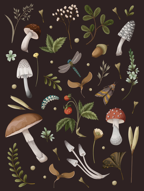 Mushroom Lined Journal by Editors of Chartwell Books, 9780785843832