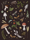 Mushroom Lined Journal by Editors of Chartwell Books, 9780785843832