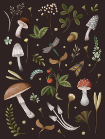 Mushroom Lined Journal by Editors of Chartwell Books, 9780785843832