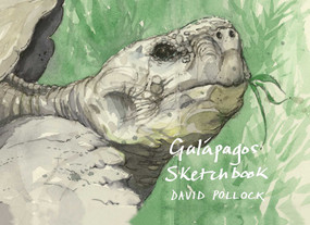 Galápagos Sketchbook by David Pollock, Mick Rooney, 9781843682141