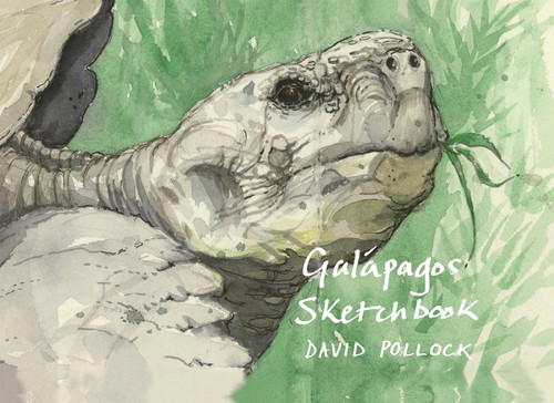 Galápagos Sketchbook by David Pollock, Mick Rooney, 9781843682141
