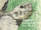 Galápagos Sketchbook by David Pollock, Mick Rooney, 9781843682141