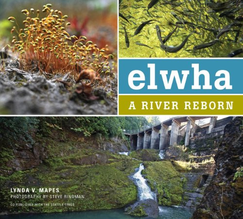 Elwha (A River Reborn) by Lynda Mapes, Steve Ringman, 9781594857348