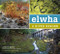 Elwha (A River Reborn) by Lynda Mapes, Steve Ringman, 9781594857348